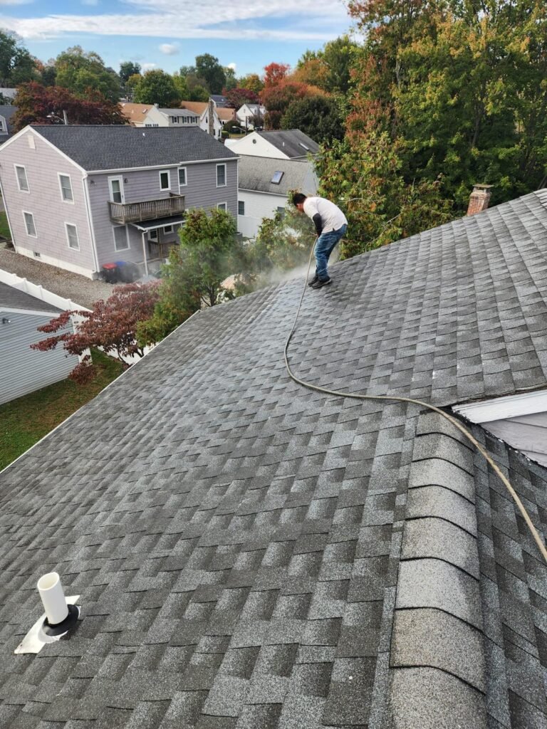 soft wash roof cleaning service